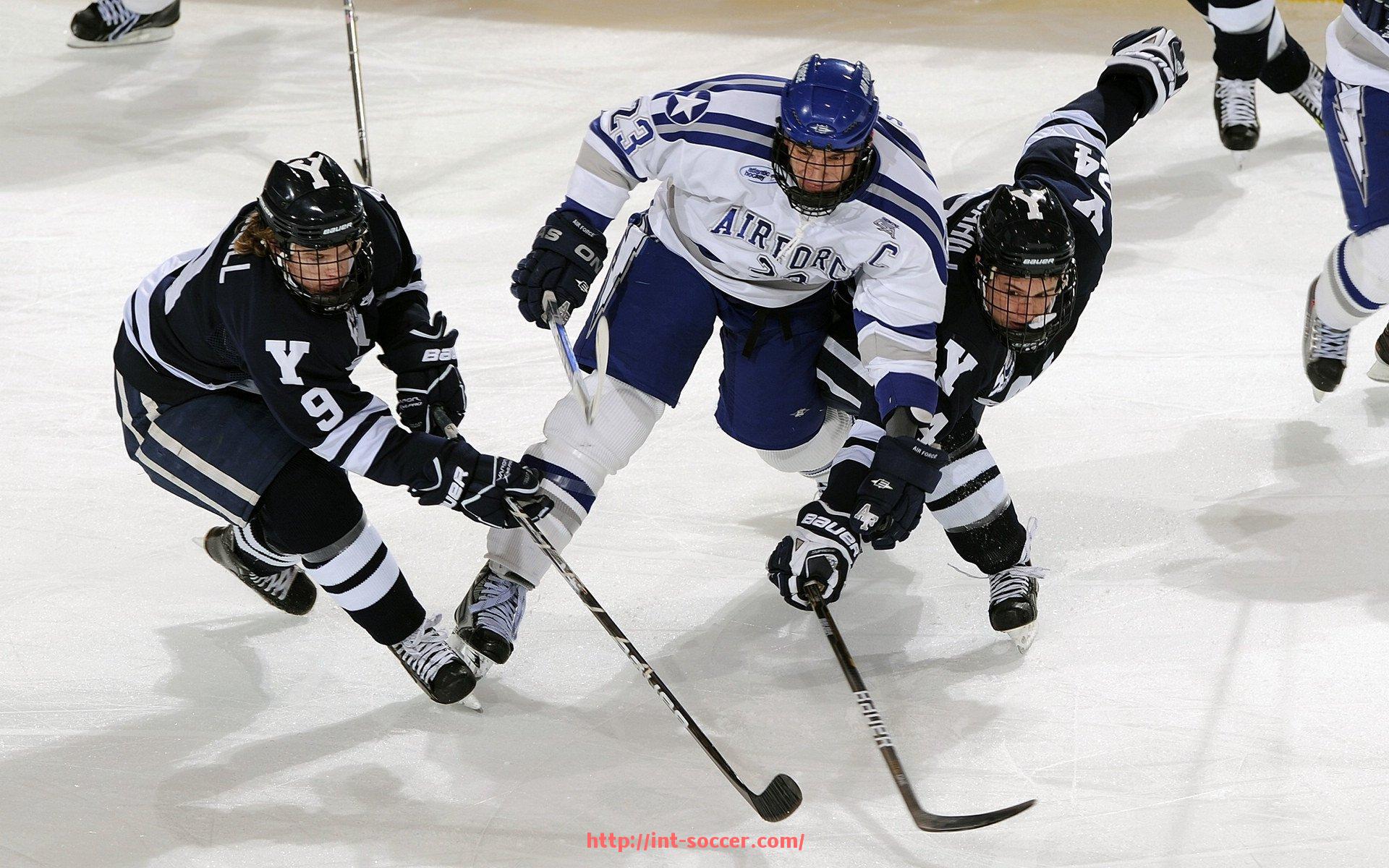 足球直播-赛场环境全景解析：灯光、草皮与观众席的多维度体验